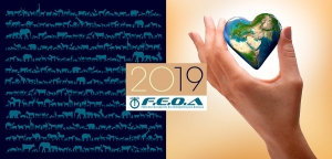 Voeux 2019 FEOA apparence design