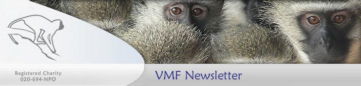vmf-actualites-sept2019-