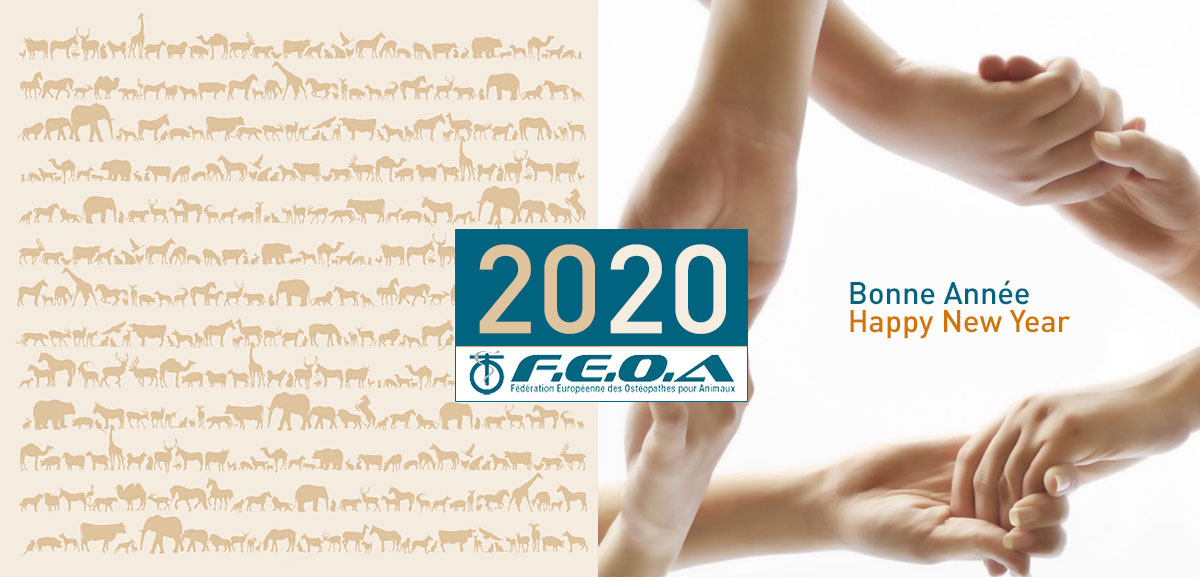 2020-feoa-happynewyear-greetings
